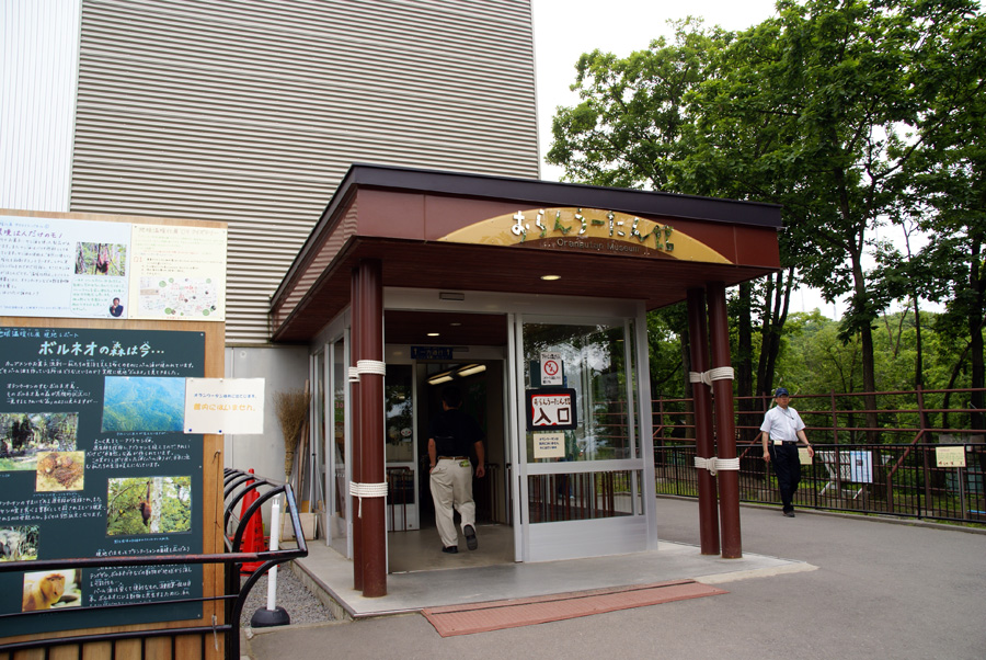 写真館 ”'09北海道旅行Ⅳ”旭山動物園