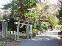 神社入口の鳥居