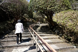 Lւ̊Ki