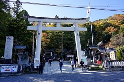 咹