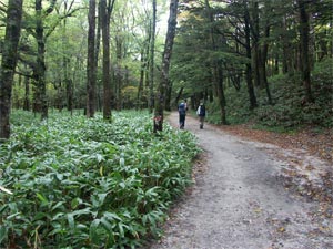 明神館への道