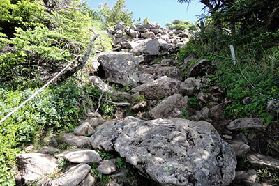急登と大きな石
