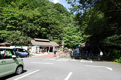 �s���̐X���ԏ�