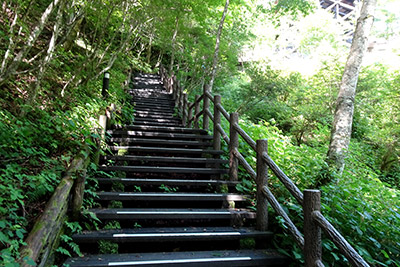 �o�R���ւ̋ߓ�