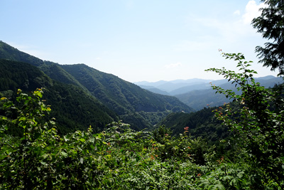 ���̘H�r������̓W�]�i�w�������ʁj