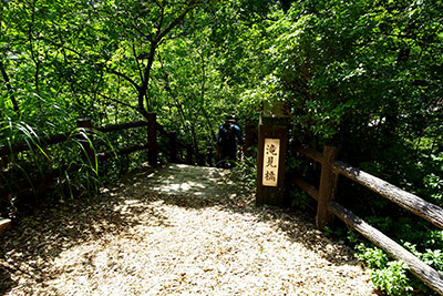 �ꌩ������