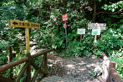 �ΎR�̘H�ƃu�i�̘H�̕���