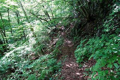 �ΎR�̘H�o�R��