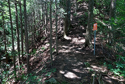 �}�o���I���Ő���