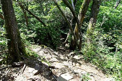 �Ő��̃A�b�v�_�E�����n�܂�