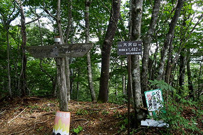 �Ő���̑��R