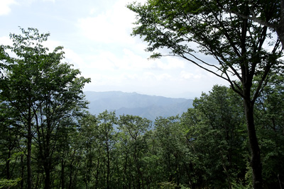 ���R����̓W�]�i�_��������Εx�m�R��������炵���j