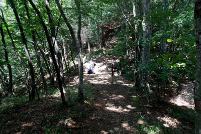 ���V�J����