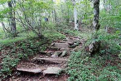 �O���R��������