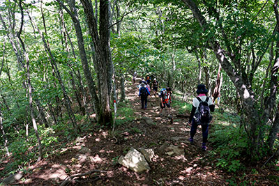 �O���R������ֈ�U����