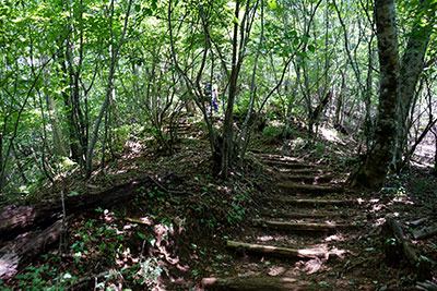 �O���R������Ɠ���ւ̓o��