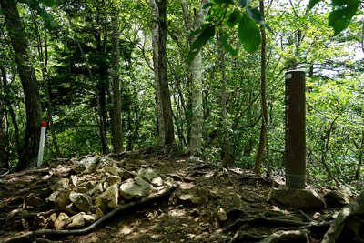 �O���R������