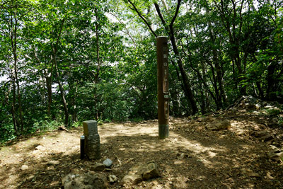 �O���R����