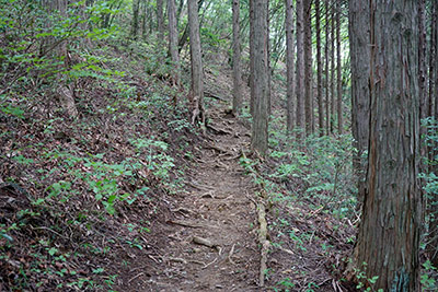 �����������֌������u�i�̘H