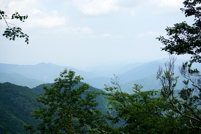 ��������������̓W�]�i�������s�X�n���������Ɍ�����j