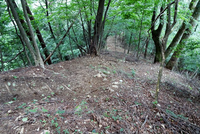 ������ւ̋}�ȉ����