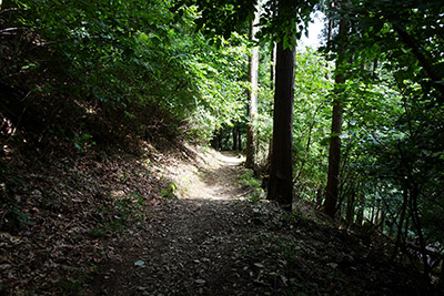 �X�ъق֌�������