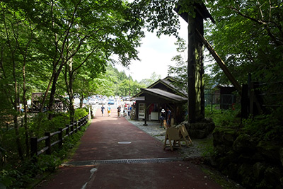 �s���̐X���ԏ�֖����A��